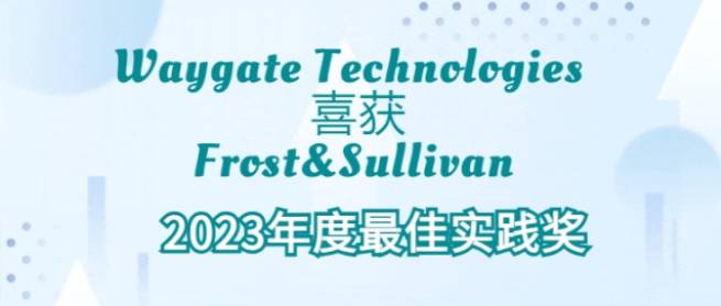 Waygate Technologies 喜獲 Frost & Sullivan 2023年度最佳實(shí)踐獎